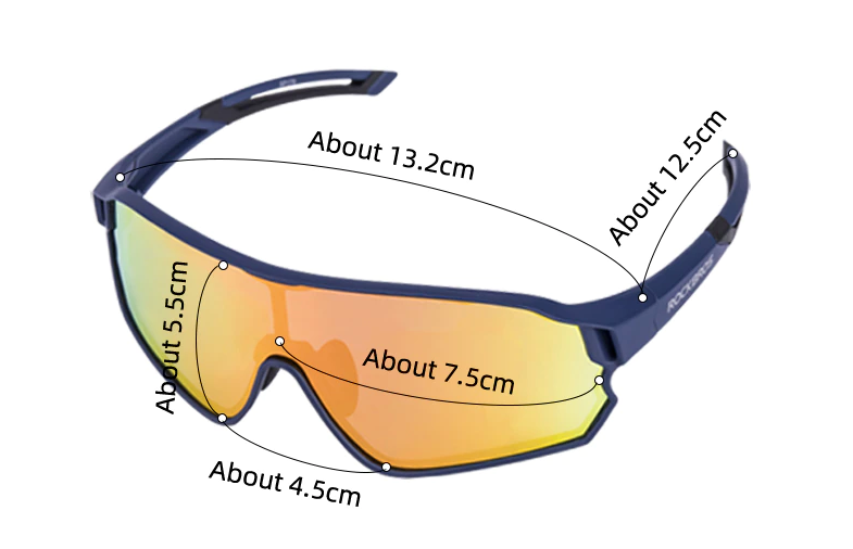 ROCKBROS Cycling Glasses Polarized Photochromic Goggles 2 Lens